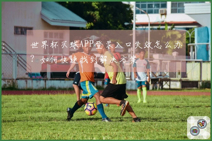 世界杯买球APP登录入口失效怎么办？如何快速找到解决方案