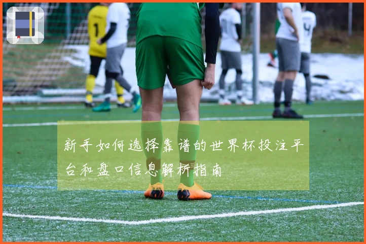 新手如何选择靠谱的世界杯投注平台和盘口信息解析指南