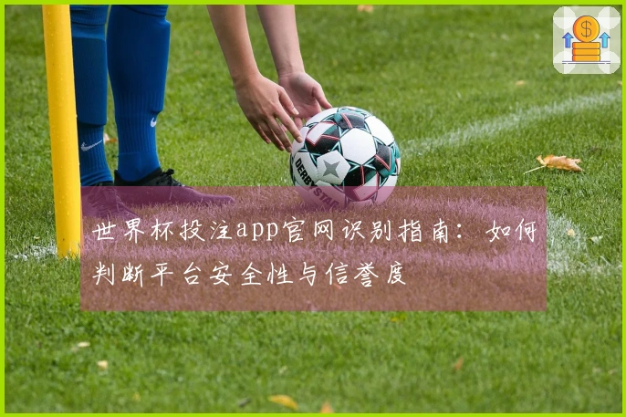世界杯投注app官网识别指南：如何判断平台安全性与信誉度
