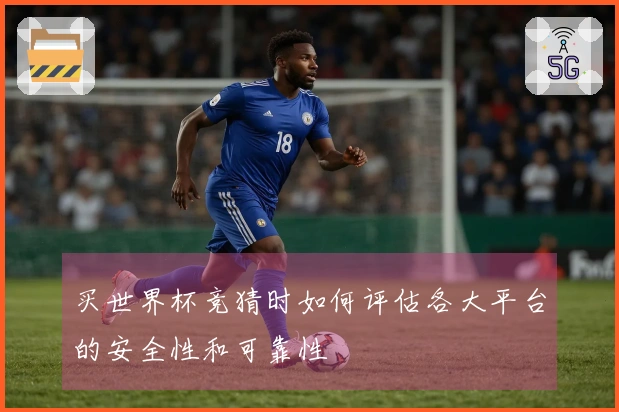 买世界杯竞猜时如何评估各大平台的安全性和可靠性