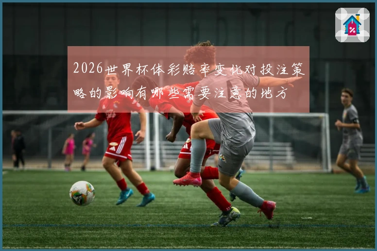 2026世界杯体彩赔率变化对投注策略的影响有哪些需要注意的地方