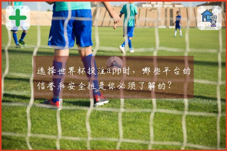 选择世界杯投注app时，哪些平台的信誉和安全性是你必须了解的？