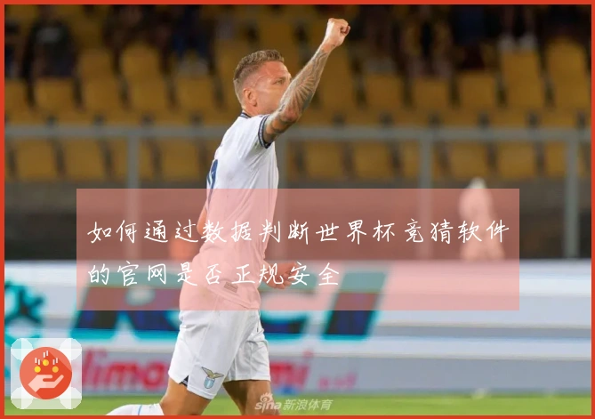 如何通过数据判断世界杯竞猜软件的官网是否正规安全