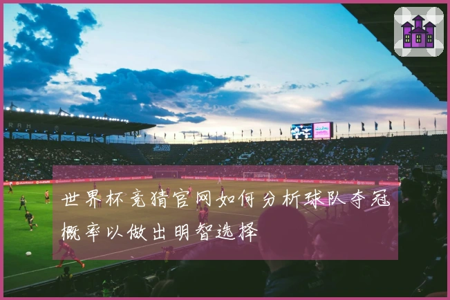 世界杯竞猜官网如何分析球队夺冠概率以做出明智选择