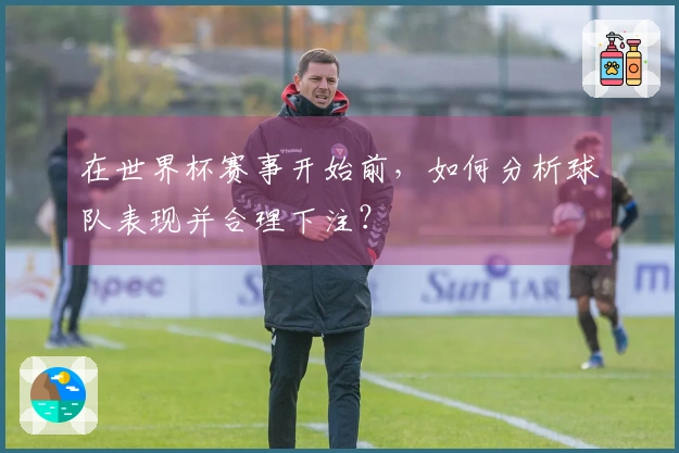 在世界杯赛事开始前，如何分析球队表现并合理下注？