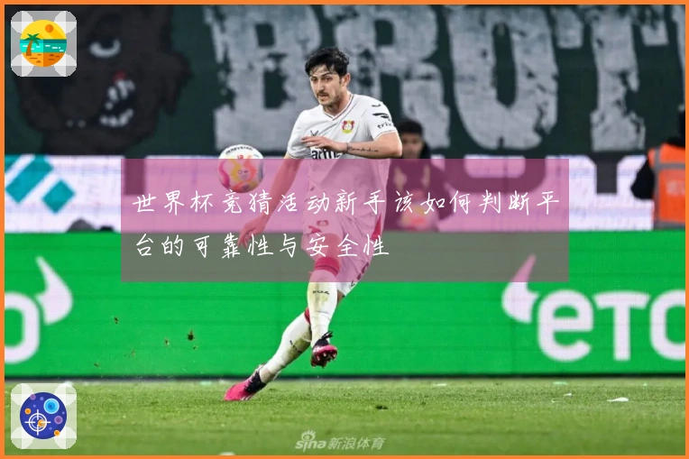 世界杯竞猜活动新手该如何判断平台的可靠性与安全性