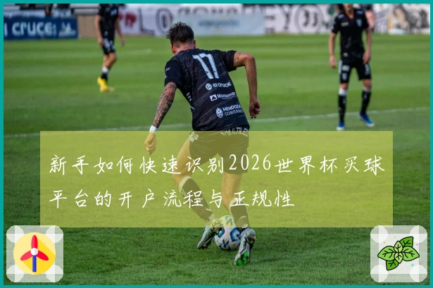 新手如何快速识别2026世界杯买球平台的开户流程与正规性