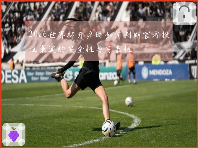 2026世界杯开户时如何判断官方投注渠道的安全性与可靠性