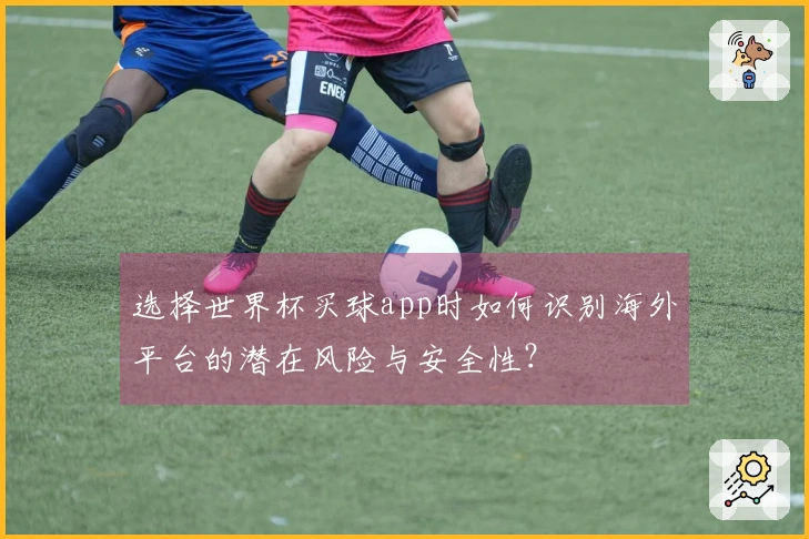 选择世界杯买球app时如何识别海外平台的潜在风险与安全性？
