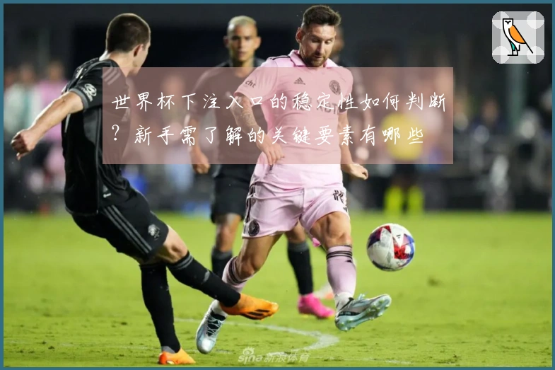 世界杯下注入口的稳定性如何判断？新手需了解的关键要素有哪些