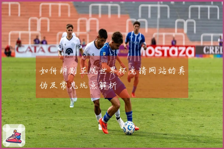 如何辨别正规世界杯竞猜网站的真伪及常见坑点解析