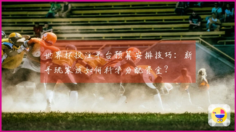 世界杯投注平台预算安排技巧：新手玩家该如何科学分配资金？