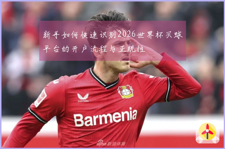 新手如何快速识别2026世界杯买球平台的开户流程与正规性