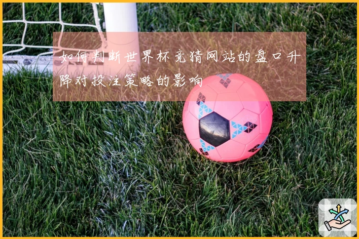 如何判断世界杯竞猜网站的盘口升降对投注策略的影响