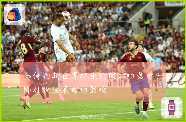如何判断世界杯竞猜网站的盘口升降对投注策略的影响