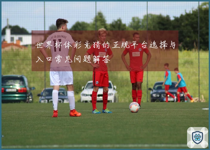 世界杯体彩竞猜的正规平台选择与入口常见问题解答