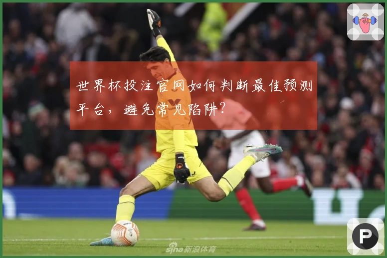 世界杯投注官网如何判断最佳预测平台，避免常见陷阱？