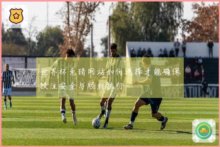 世界杯竞猜网站如何选择才能确保投注安全与顺利执行