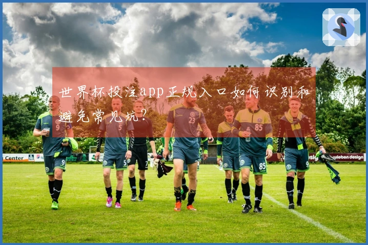 世界杯投注app正规入口如何识别和避免常见坑？