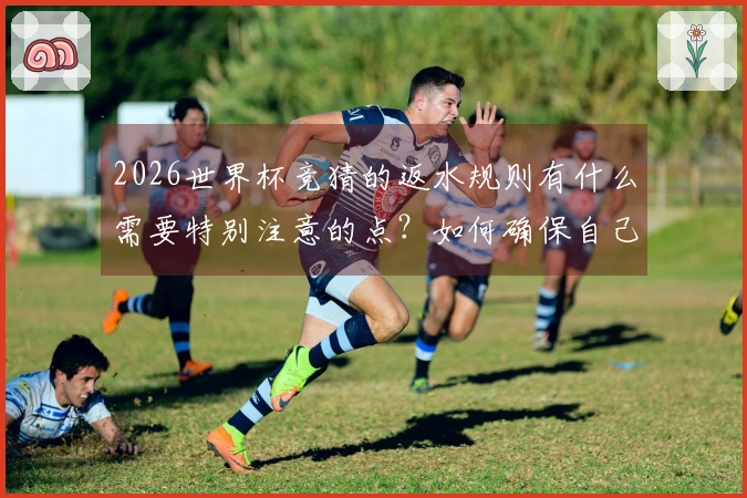 2026世界杯竞猜的返水规则有什么需要特别注意的点？如何确保自己的投注安全？