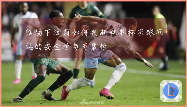 临场下注前如何判断世界杯买球网站的安全性与可靠性