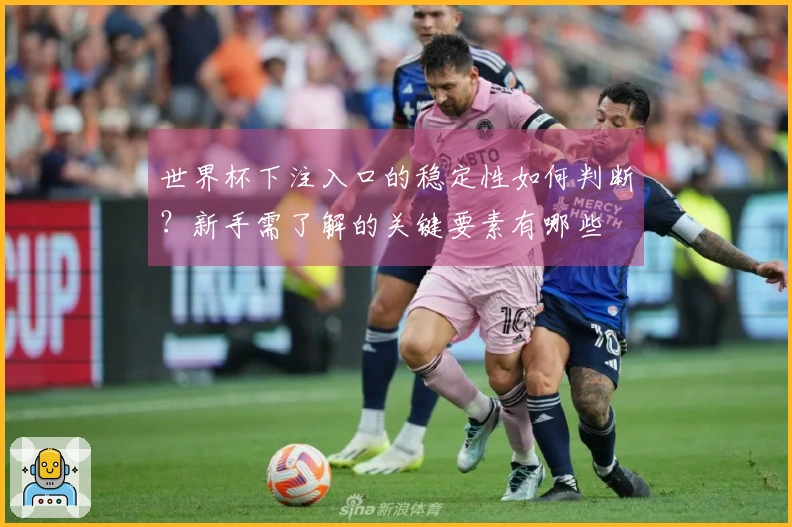 世界杯下注入口的稳定性如何判断？新手需了解的关键要素有哪些