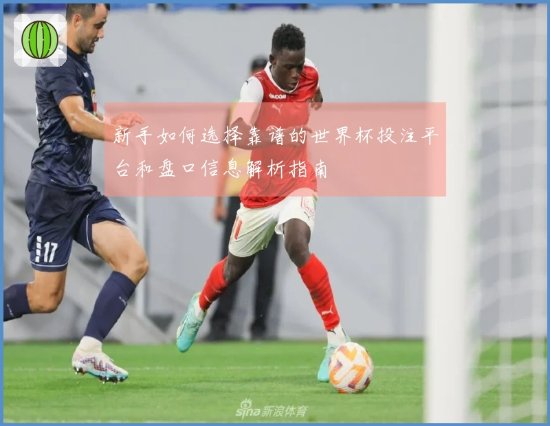新手如何选择靠谱的世界杯投注平台和盘口信息解析指南