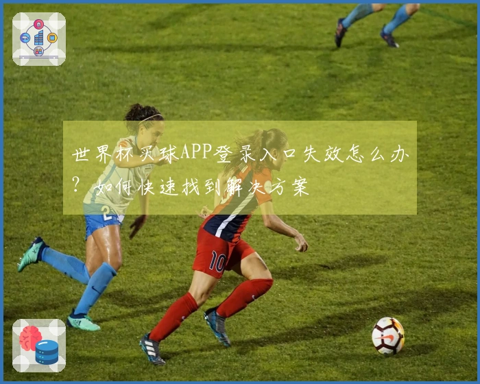 世界杯买球APP登录入口失效怎么办？如何快速找到解决方案