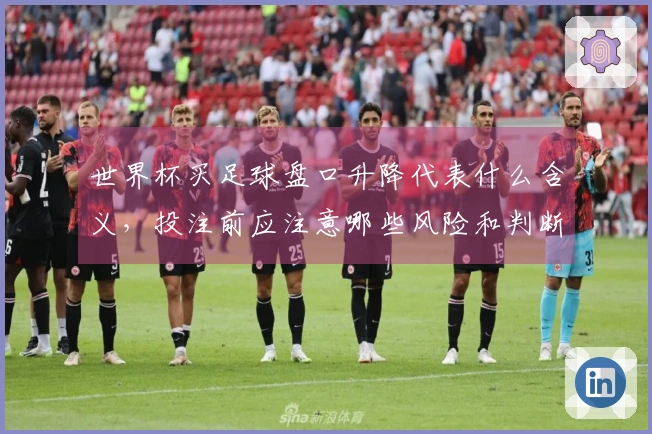 世界杯买足球盘口升降代表什么含义，投注前应注意哪些风险和判断标准