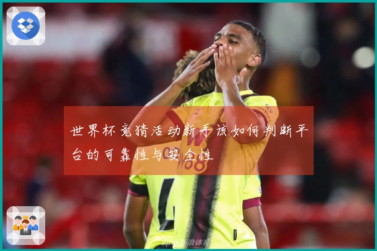 世界杯竞猜活动新手该如何判断平台的可靠性与安全性
