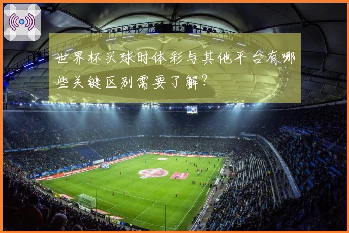 世界杯买球时体彩与其他平台有哪些关键区别需要了解？
