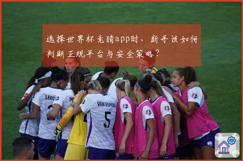 选择世界杯竞猜app时，新手该如何判断正规平台与安全策略？