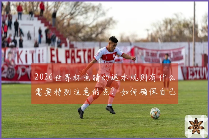 2026世界杯竞猜的返水规则有什么需要特别注意的点？如何确保自己的投注安全？