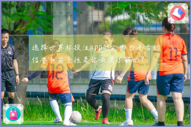 选择世界杯投注app时，哪些平台的信誉和安全性是你必须了解的？