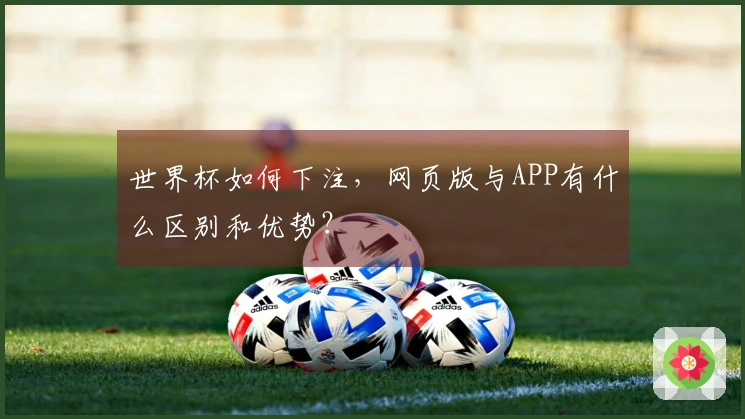 世界杯如何下注，网页版与APP有什么区别和优势？